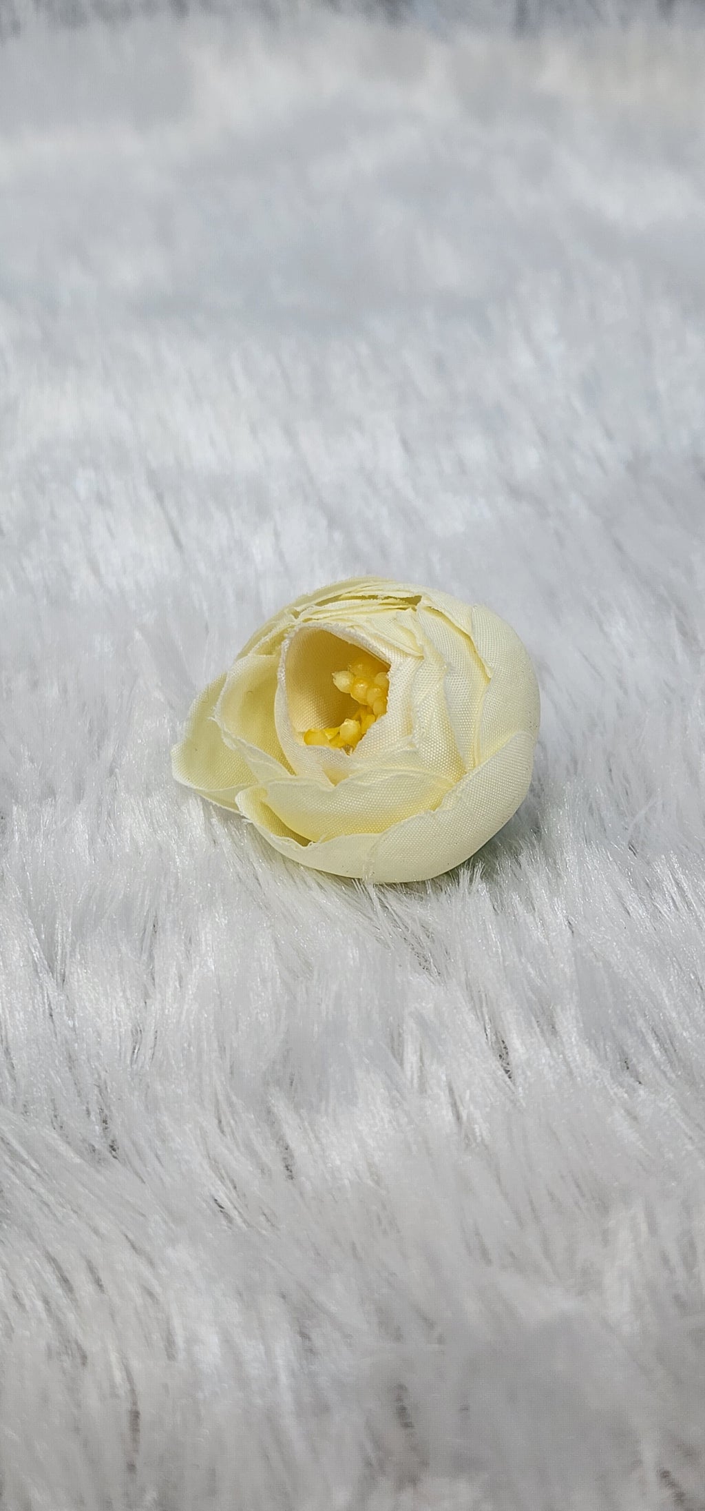 Loose pionies flowers