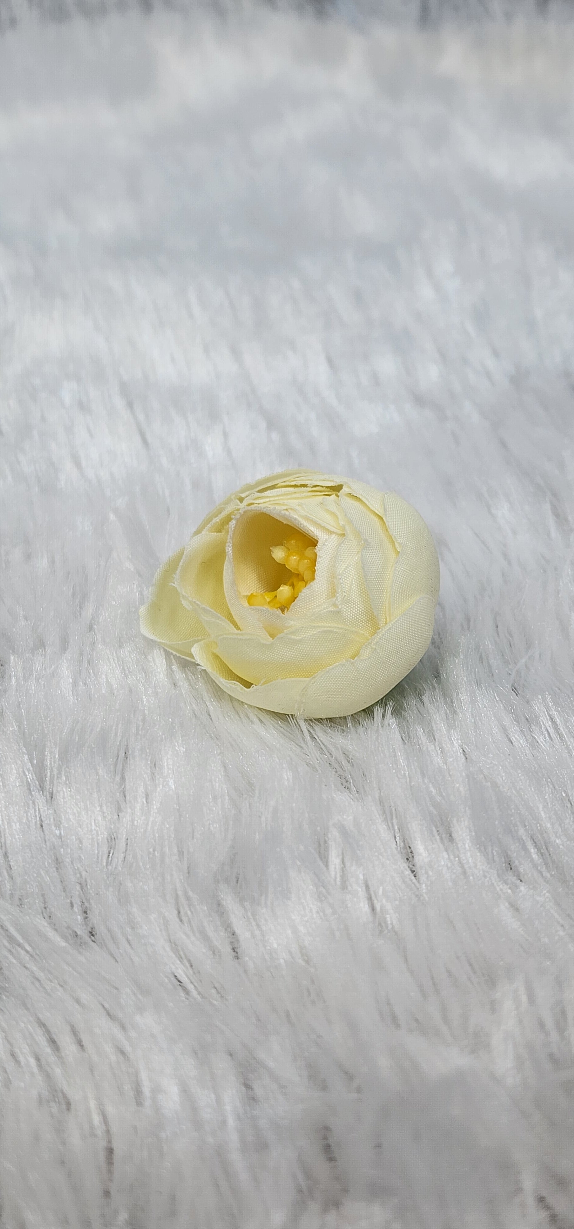 Loose pionies flowers