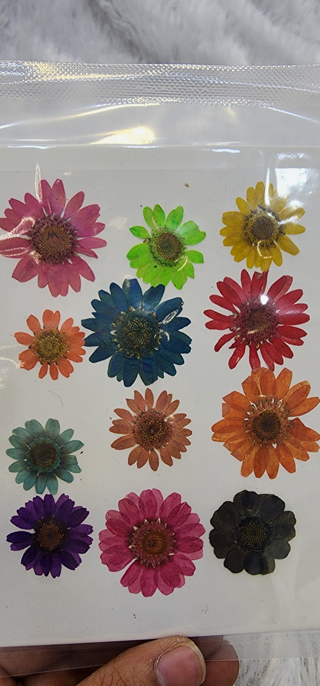 Pressed flowers