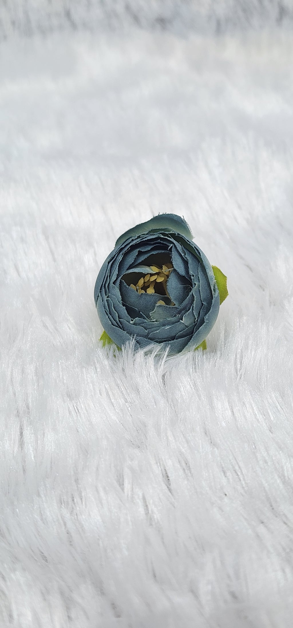 Loose pionies flowers