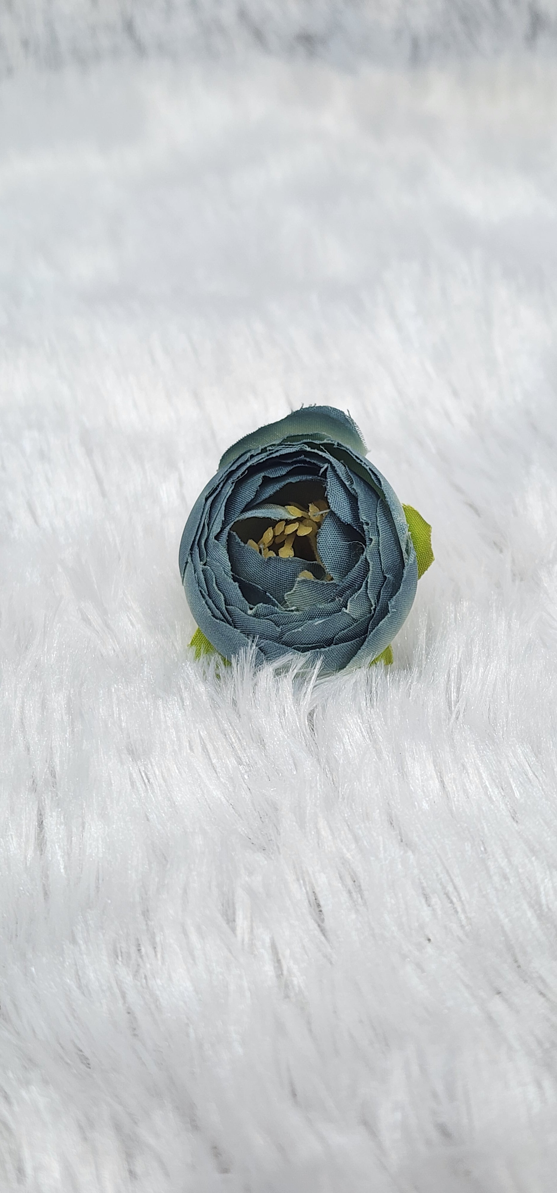 Loose pionies flowers