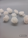 Foam Flowers