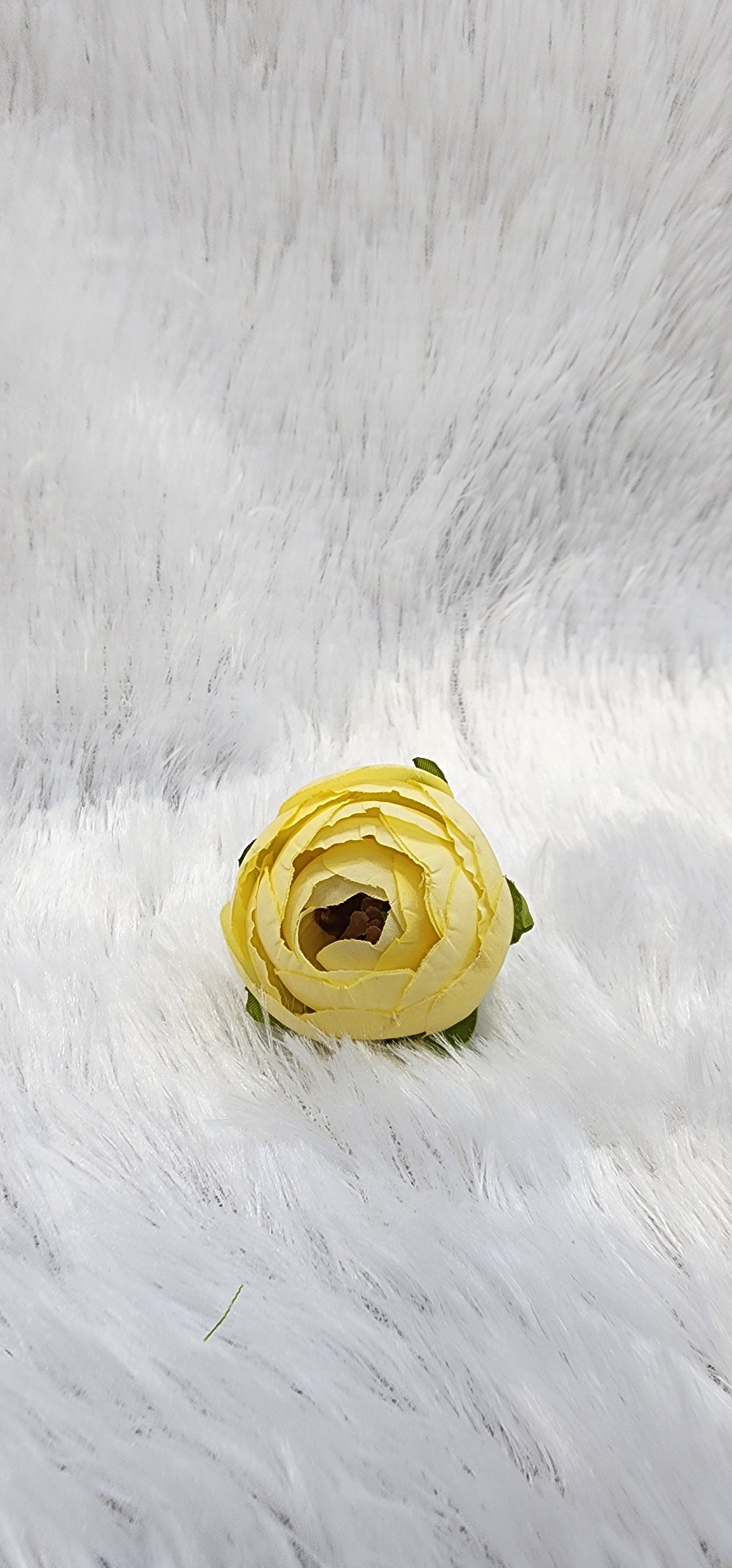 Loose pionies flowers