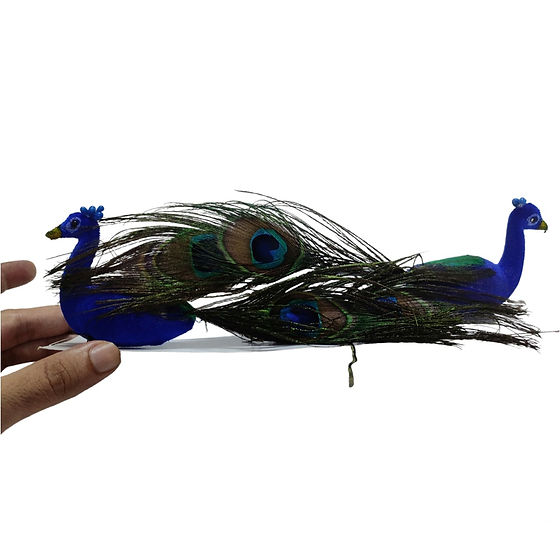 Peacock Pair