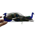 Peacock Pair
