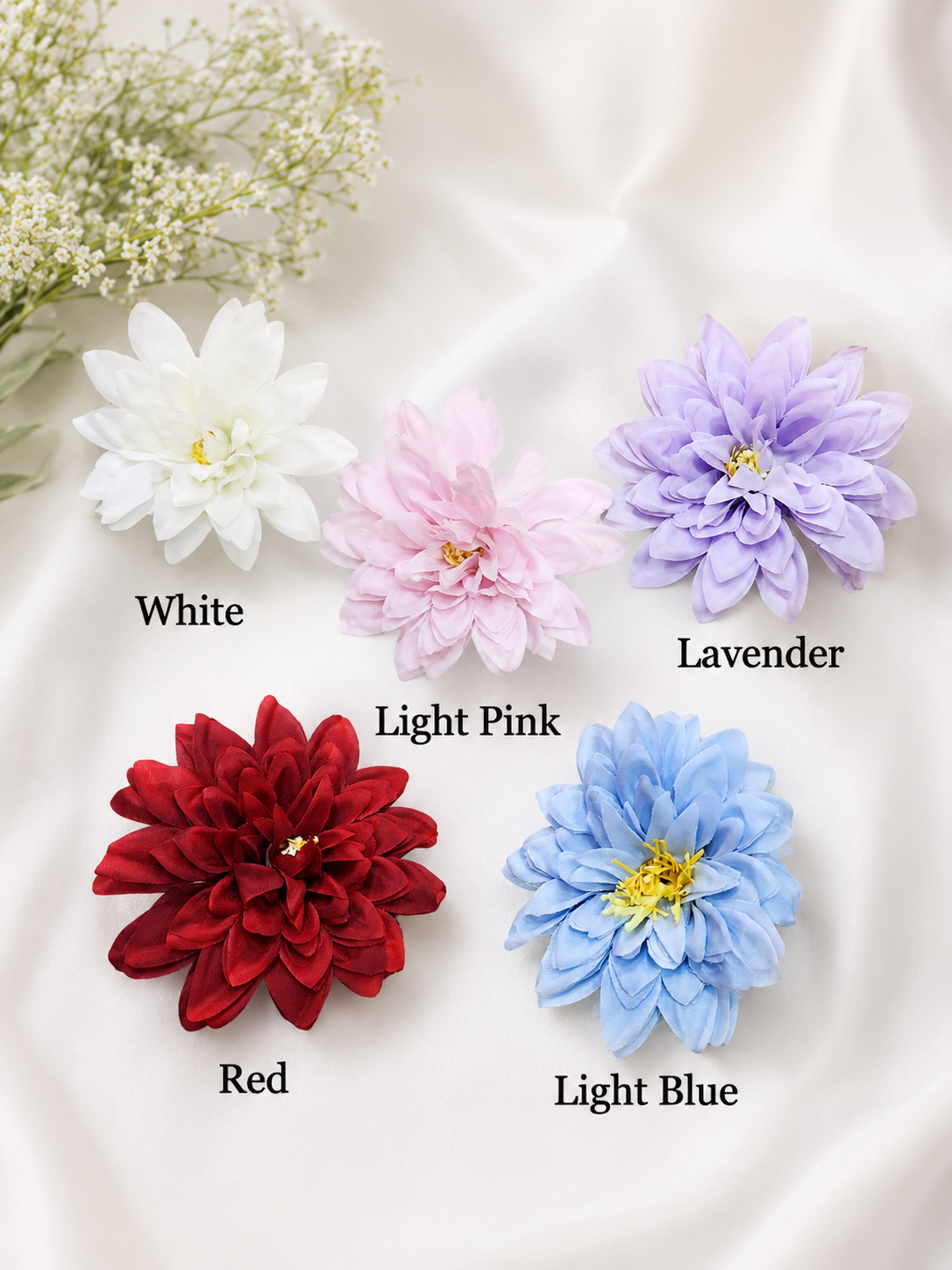 Dahlia flowers
