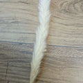 Artificial pampass Grass decor