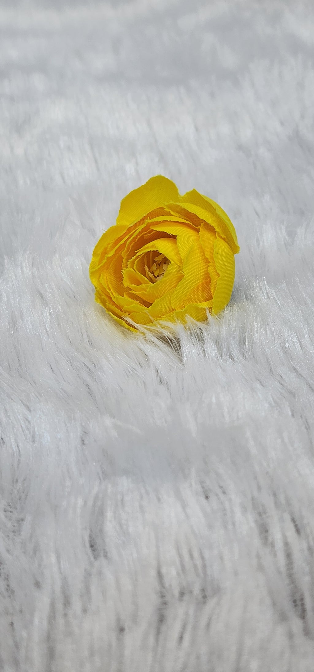 Loose pionies flowers