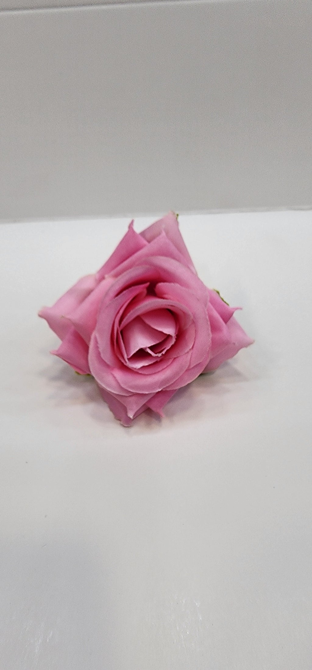 Rose Flower