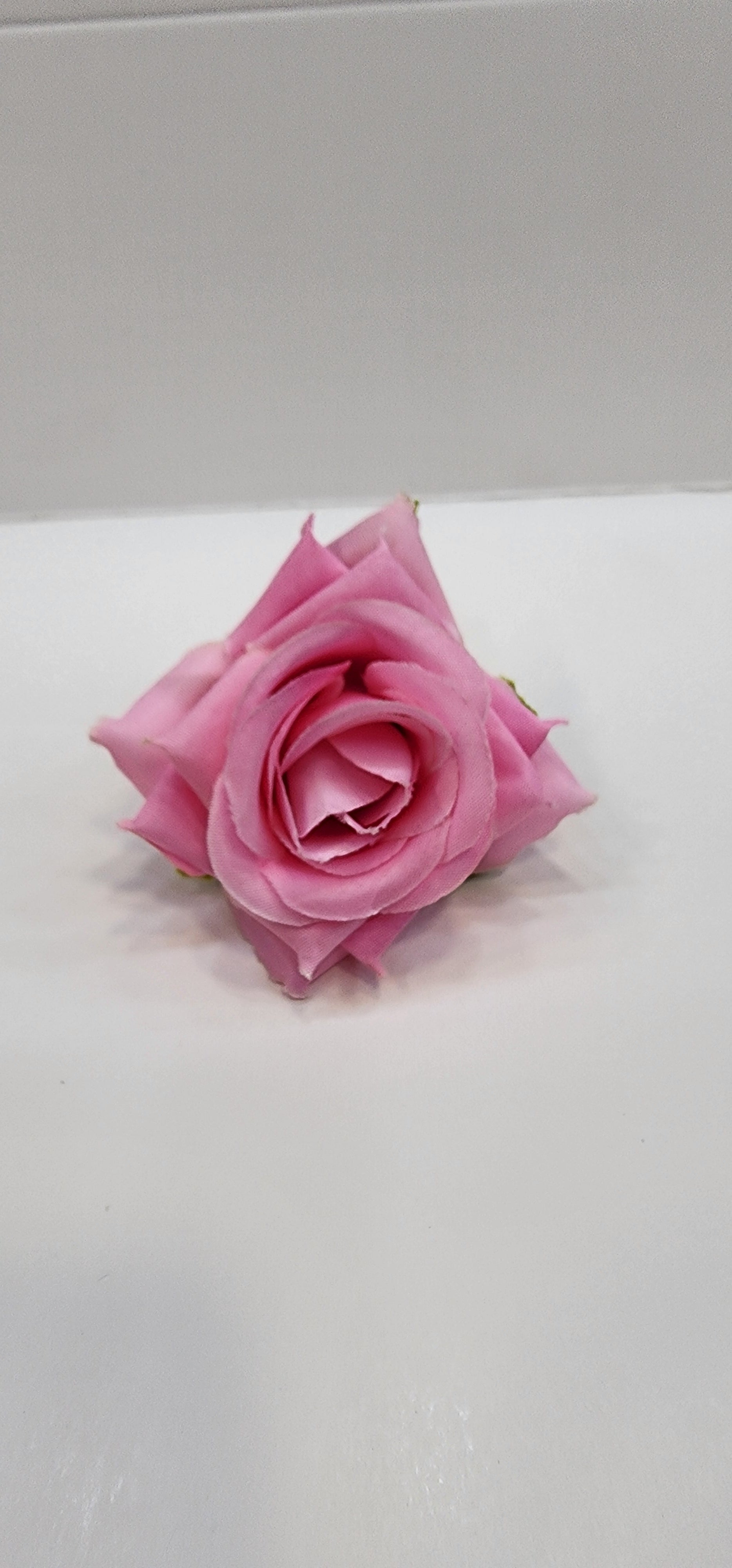 Rose Flower