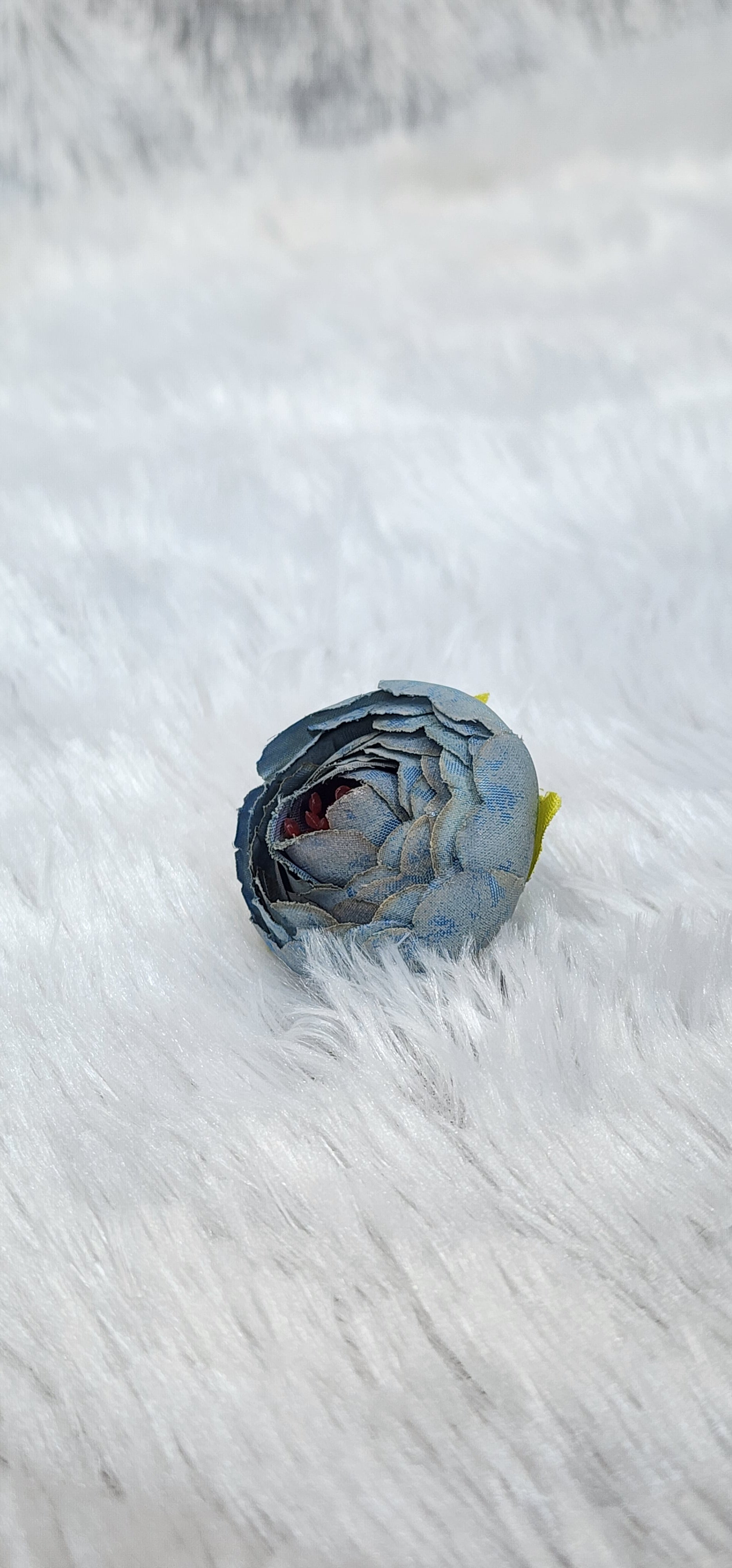 Loose pionies flowers