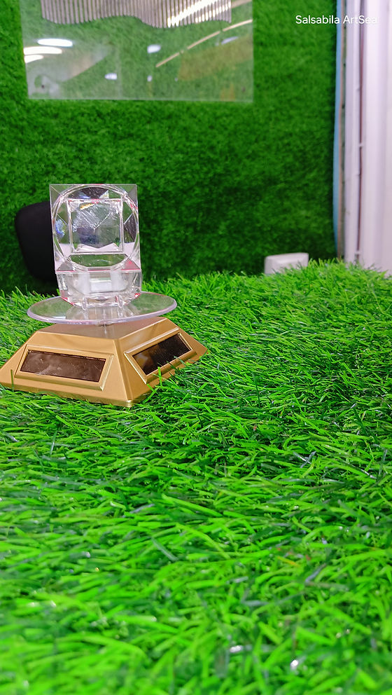 Rotating Display Stand with Glass Domeelry Platter