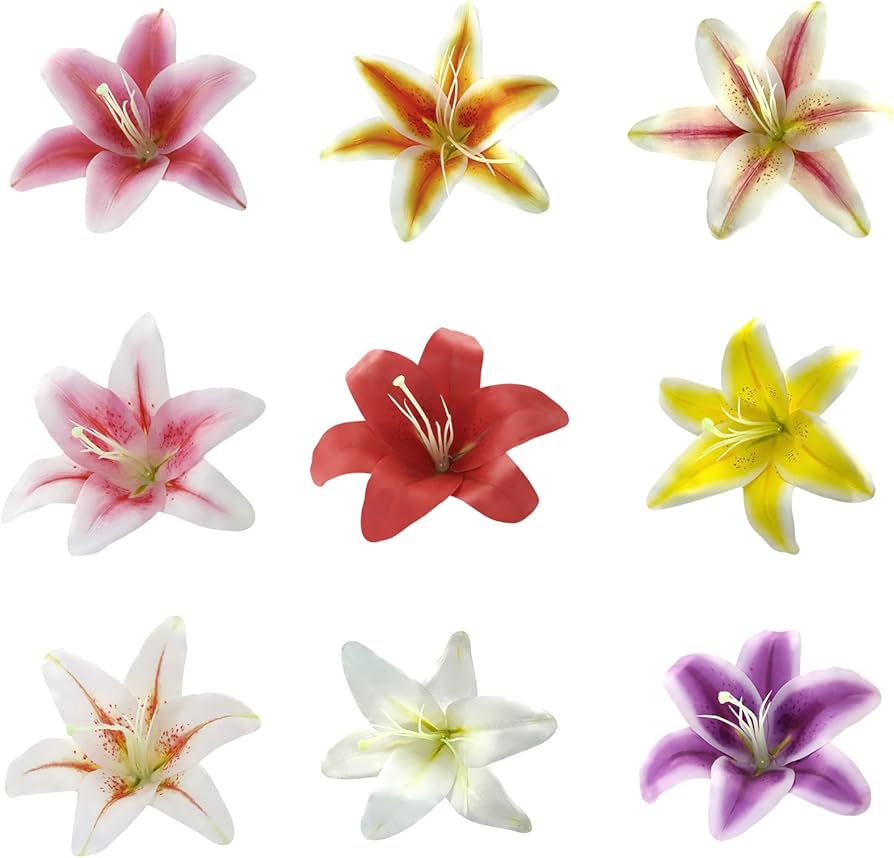 Lily flower