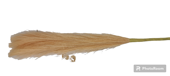 Artificial Straight Pompas Filler Sticks