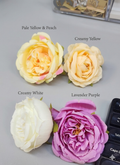Peony flower