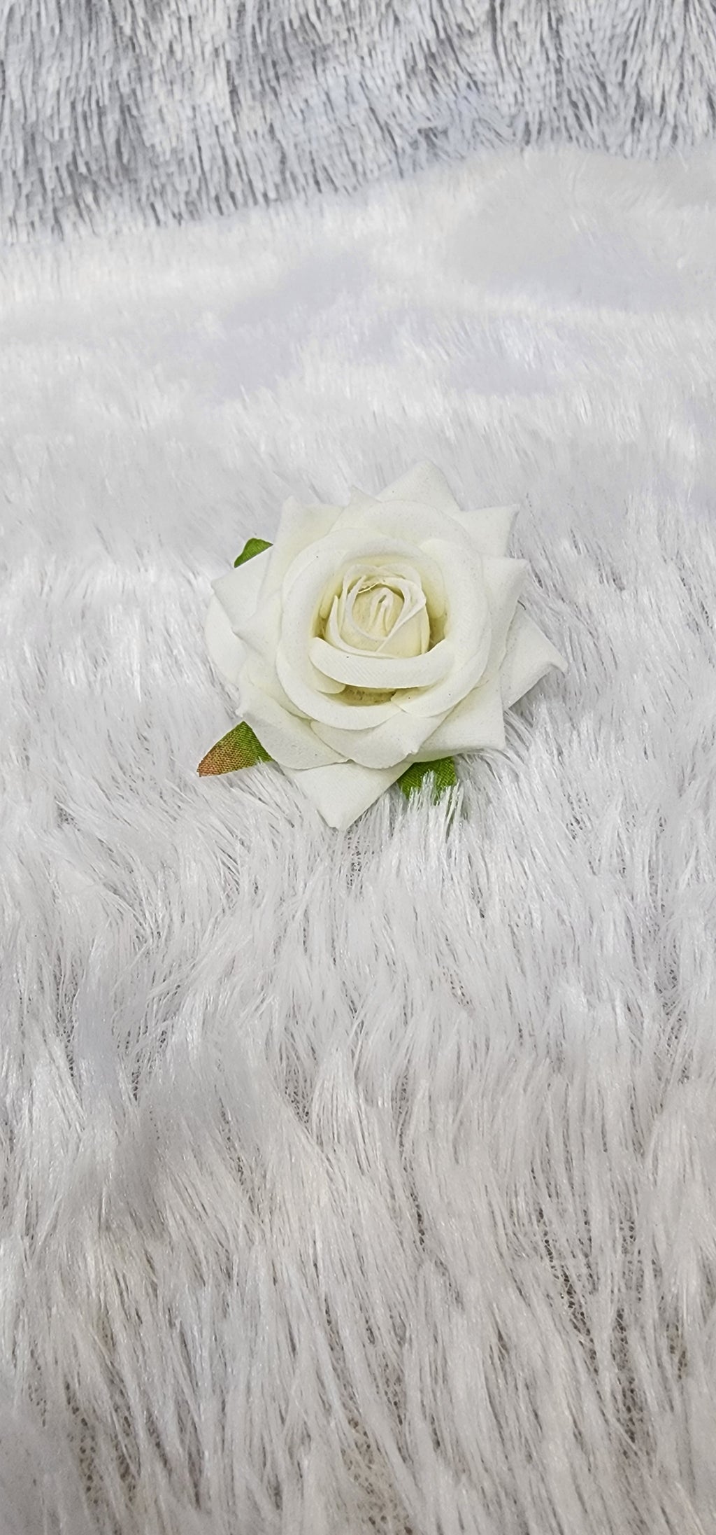 Loose Velvet rose
