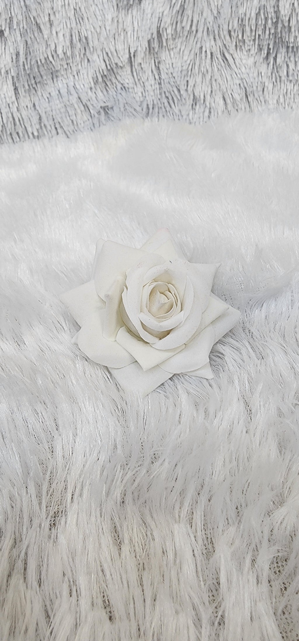 Loose Velvet rose