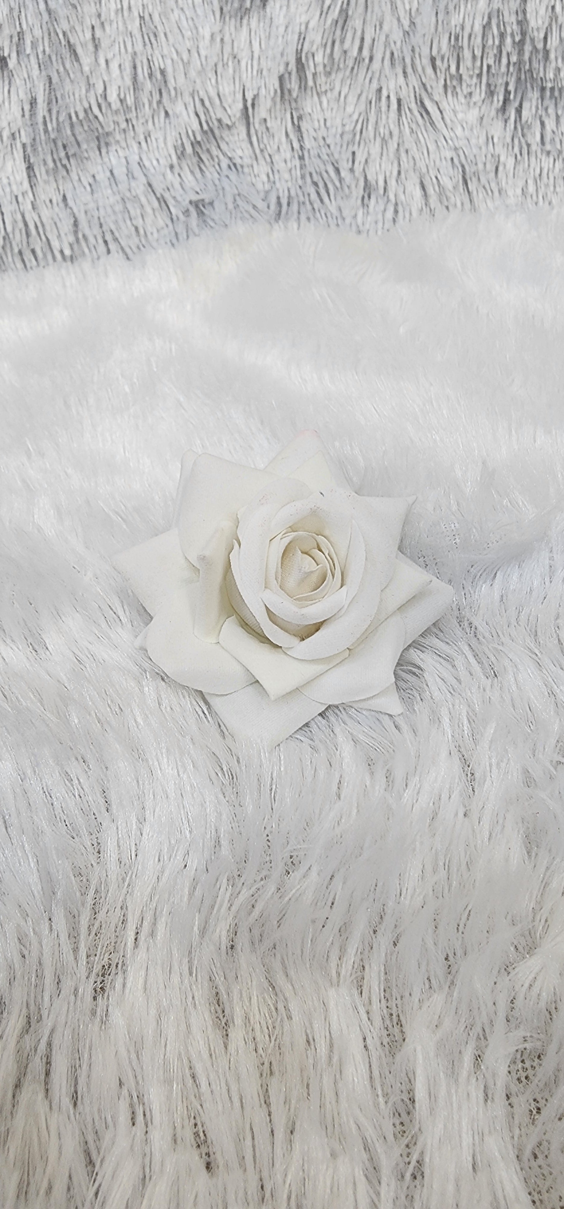 Loose Velvet rose