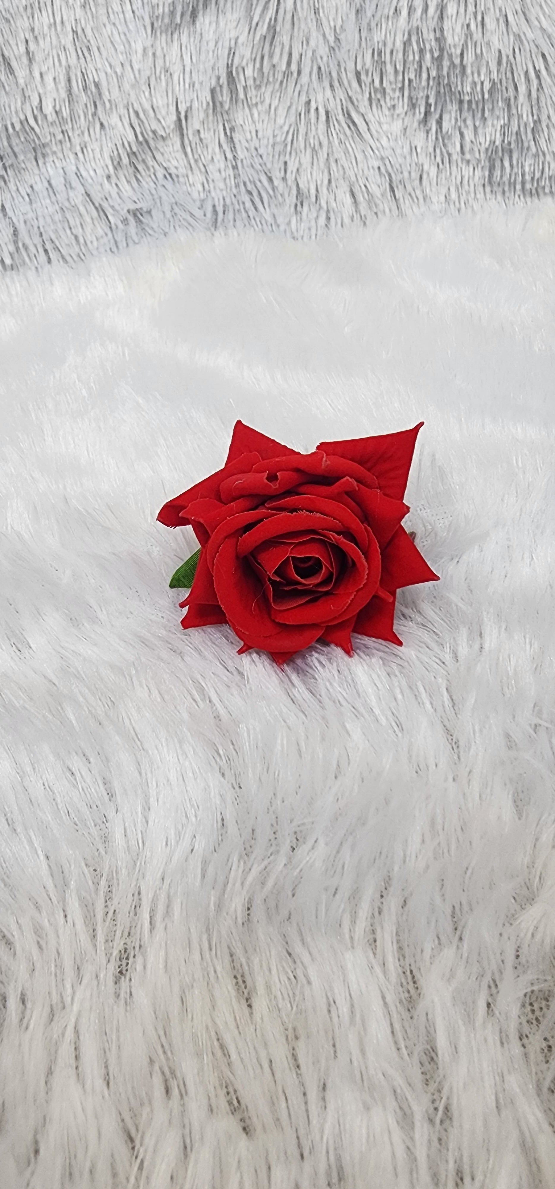 Loose Velvet rose